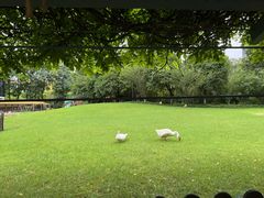 -硅谷蒙学幼儿园