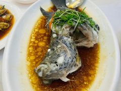 清蒸花斑-金华安大酒楼·老牌潮菜·粤式茶点(东方国际店)