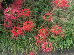 -南京金牛湖风景区