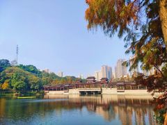 -重庆彩云湖湿地公园