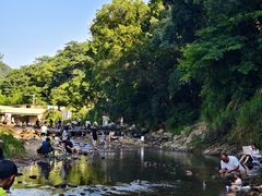 -北仑森林植物园