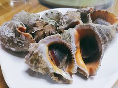 -亚龙湾8号(丁村万人海鲜广场店)