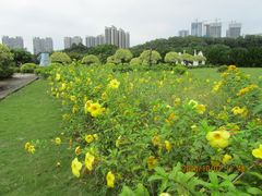 -南沙蒲洲花园