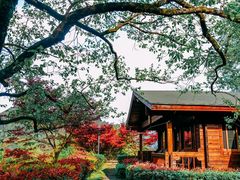 -宁波余姚老柿林山居度假村