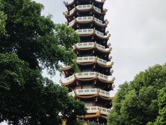 -仙岳公园