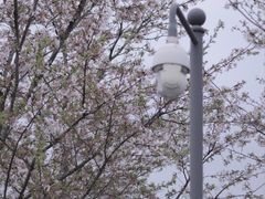 -明蜀王陵(地铁站)