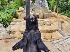 -云南野生动物园