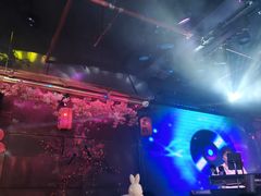 -喜鹊音乐酒馆(西街店)