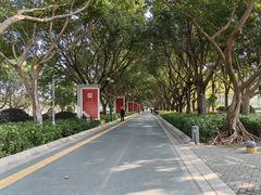 -白鹭洲公园