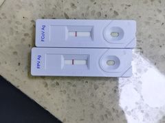 -艾贝尔宠物诊疗