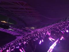 -南京奥林匹克体育中心-体育馆