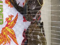 -横行八道海鲜(裕廊西店)