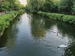 -长白岛森林公园