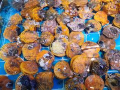 -大厨的餐厅(曾厝垵总店)