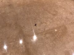 -上海静安铂尔曼酒店