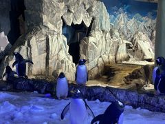 -成都浩海立方海洋公园