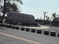 -合肥滨湖国家森林公园