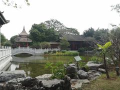 -顺峰山公园