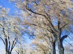 -长春市南湖公园