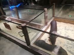 -造物庄园 萌宠纪(苏州湾歌林公园店)