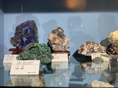 -河南自然博物馆
