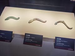 -荆州博物馆