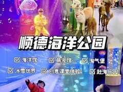 -顺德南宏海立方海洋公园
