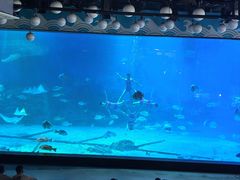 -烟台海昌鲸鲨海洋公园