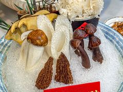 -喜聚薈·花膠雞海鮮火鍋(越秀店)