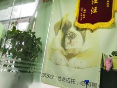 -半岛宠物医院24小时(科华中路店)