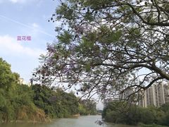 -金山公园