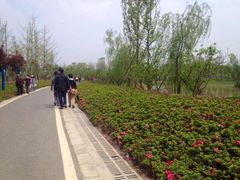 -白鹭湾湿地公园