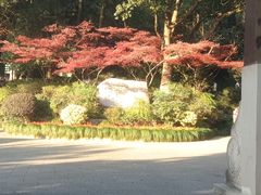 -杭州半山国家森林公园