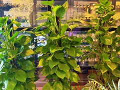 -徐记私厨(半淞园路店)