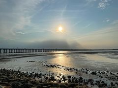 -宝安西湾红树林湿地公园