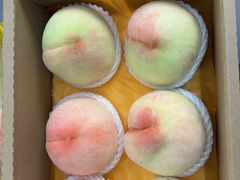 -老袁家蜜桃农场·阳山水蜜桃