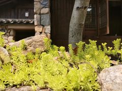 -杭州植物园
