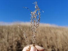 -萍乡武功山风景名胜区