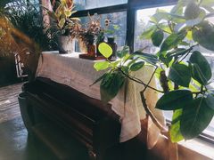-北马山庄植趣咖啡