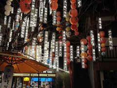 -磁器口古镇