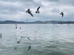-蠡湖大桥公园