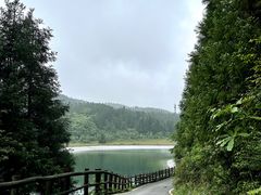 -武陵山森林公园