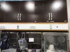 -宠爱国际动物医院·疑难骨科·心肾内科·皮肤科(太阳宫店)