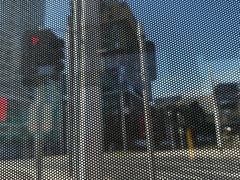 -墨尔本皇家植物园