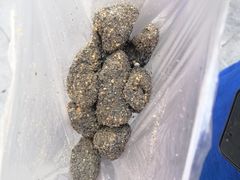 -叶氏麻糍(鼓浪屿店)