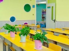 -智星少年学校·幼小衔接·精品托管