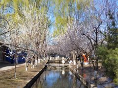 -春风习习