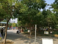 -大望京儿童游乐场