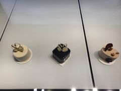 -BLACKSWAN黑天鹅(环球店)