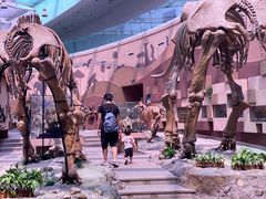 -陕西自然博物馆